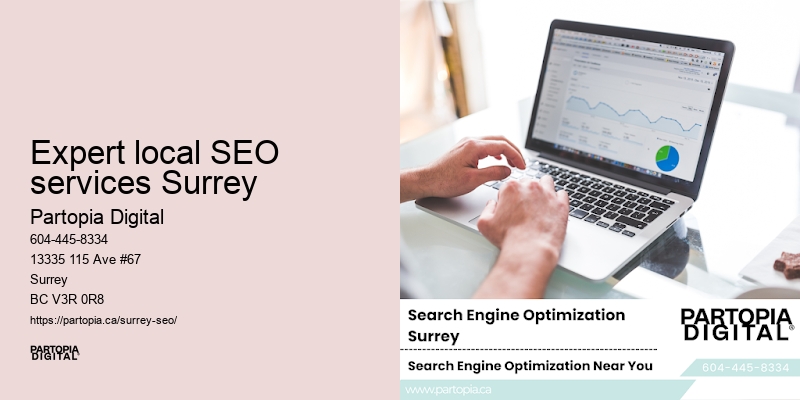 SEO expert in Expert local SEO services Surrey BC