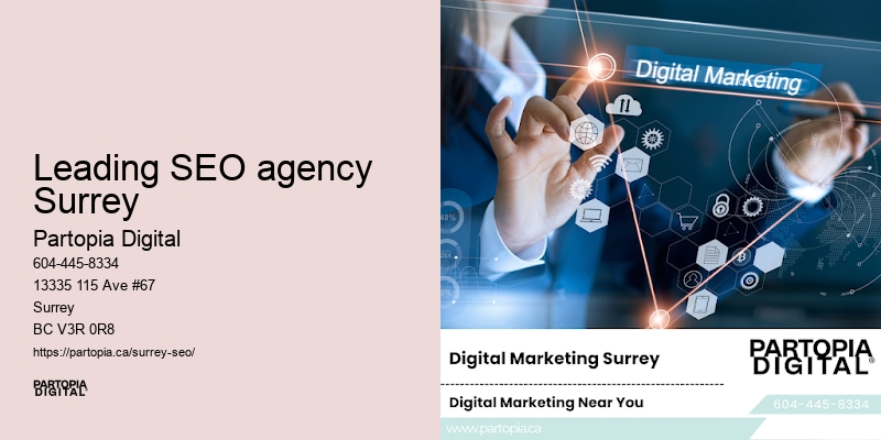 Professional SEO services Leading SEO agency Surrey