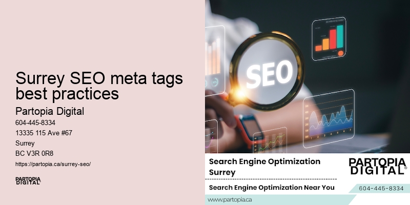 Surrey SEO meta tags best practices SEO for startups